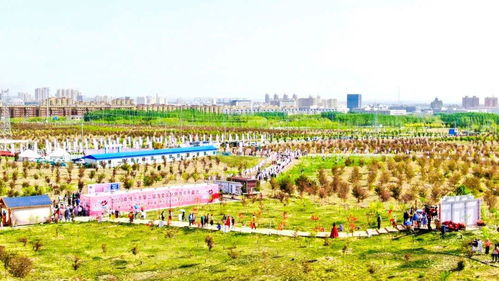 实用攻略：博乐旅游的实战指南