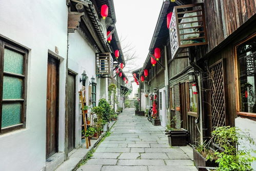 桥西历史街区：被遗忘的老时光