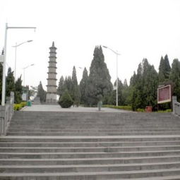 门票：免费的陷阱