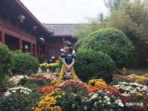门票信息：划算到飞起