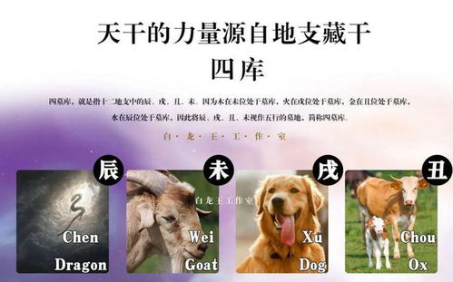 八字中三个财库，这是否意味着财运特别旺盛呢？