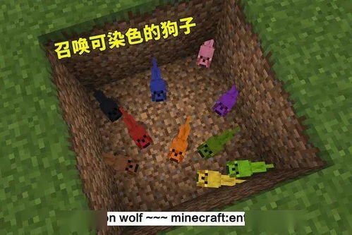 一、 坟头蹦迪与玄学大乱炖