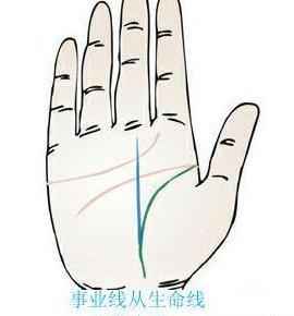 手相事业线长下端分叉意味着什么？