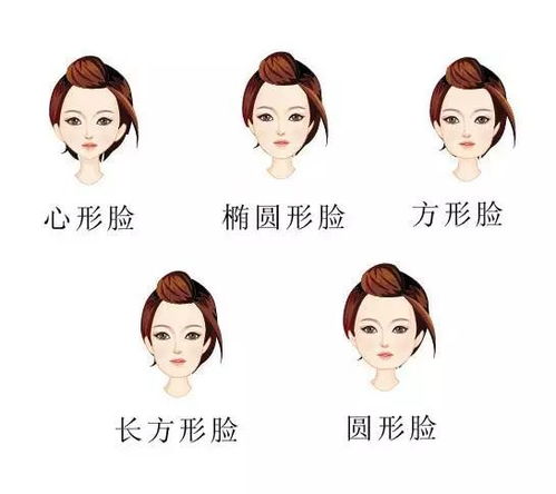 菱形脸之形态解析：轮廓构成与审美维度
