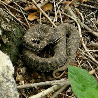 梗靠谱的名字推荐（仅供参考！）