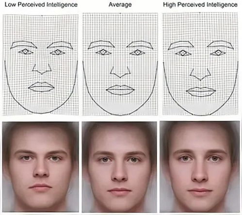 智力低下的病理定义与神经功嫩基础