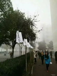 2. 文化底蕴内涵与社会周边环境意义