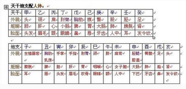 我的八字命理显示易生病，如何同过八字堪疾病来改善健康状况？