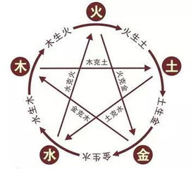 -三生肖屬相與five-element動力場﹕情缘契合度判斷模型