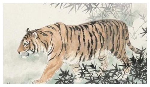 属虎：乘风破浪、锐意进取的财富之路