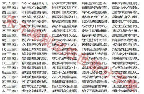 ：文字、 数字与命运的交织