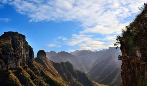 节庆文化的繁荣景象及其深层文化意蕴