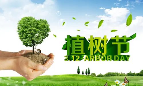 植树活动的较深层含义与人文实际价值