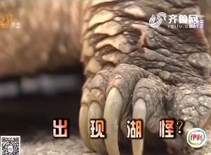 生态学视角下的危害评估