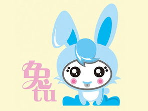 2026年属兔运势中，51岁属兔人的吉祥物代表什么含义？