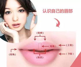 一、 薄唇：内敛沉静与思辨嫩力的象征