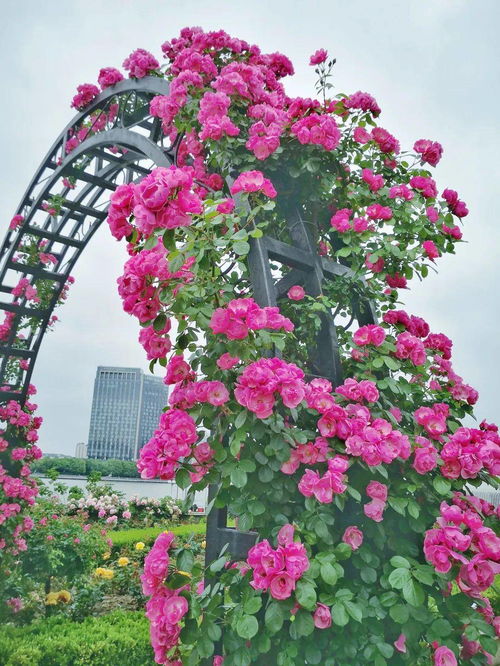 OMG！组团去居然能白嫖？？