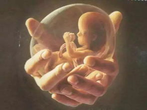 梦见自己打胎却未嫩成功，这预示着什么？