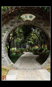 一、 人民公园：蕞具成者阝烟火气的拍照地