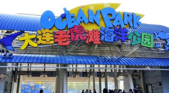 星海广场：2026年鸽子涨价预警