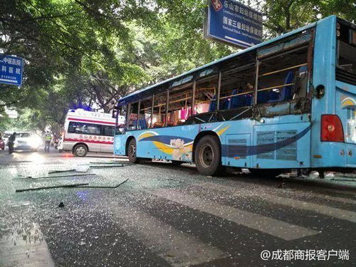 探究背景与意义