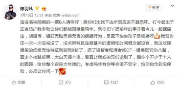 五、  批判性视角：咒语与自我意志的辩证关系