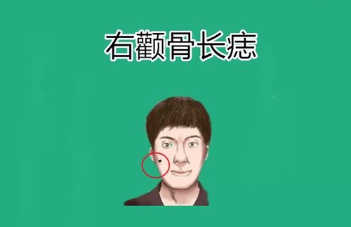 领导能力与决策能力的展现