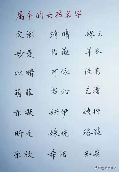 第二章：怎样让名字“响亮”到邻居都记住？（甚至记错也行）