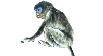 5. 鳝鱼——慈悲圆滑却易被误解