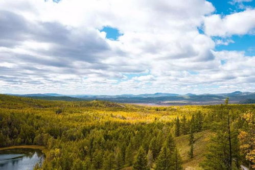 插曲: 路边的野花你不要采