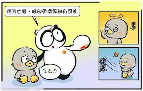 个人经历与心理影响
