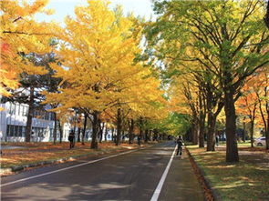 清华大学在职研究生风水学研究生入学考试难度大吗？
