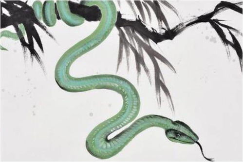 2026年9月和11月属蛇运势具体如何？