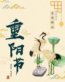2. 饮菊酿酒：以花养身的养生智慧