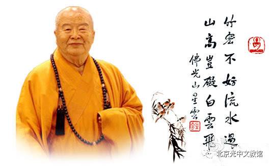 1. 蛇——机智灵活中的“放下怨尤”