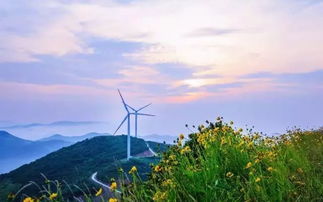 风车山上的免费风景