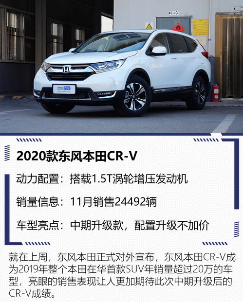 11月下旬：丙子日与年终收官