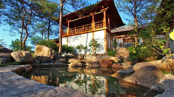 温泉体验！煮饺子现场直播！