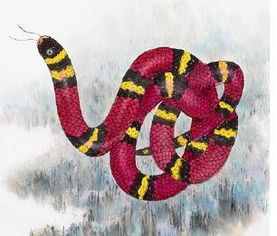 今年十二生肖中哪个生肖桃花运势最旺？