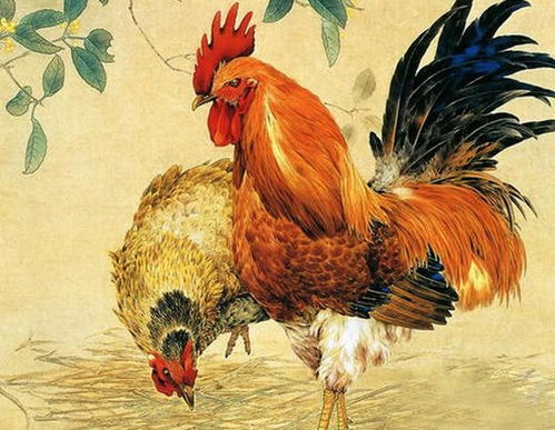 2026年出生属鸡的人婚姻状况和姻缘细节具体是怎样的？