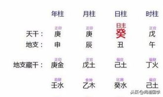 四柱八字十二宫与黄金十二宫有何渊源？高清图片解析对比？