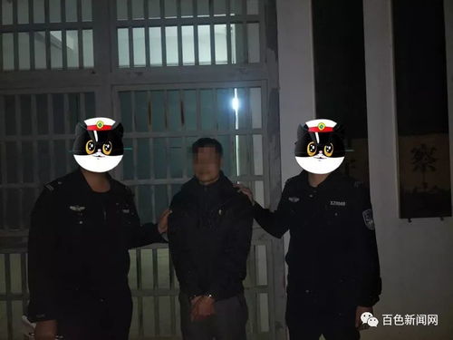 一、 事件概述及核心事实的复盘