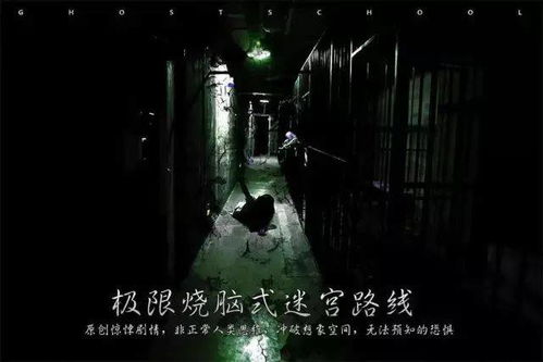 勇闯鬼屋：一种对未知世界的探索