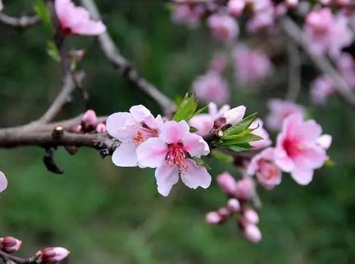 避免急躁：稳定情感关系的关键