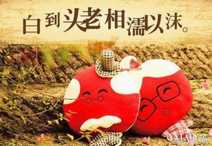 丙辰日甲午时女命，其婚姻感情是否顺利？