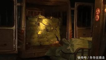 民博会之缘起：因果律下的必然邂逅