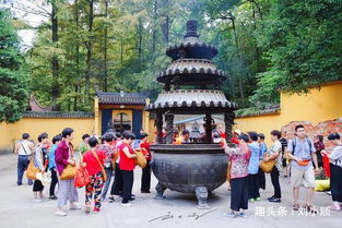 三、  区域更多样性视角下的寺庙功能图谱解析
