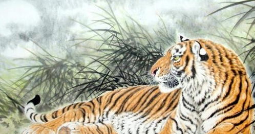 虎虎生威的大猫