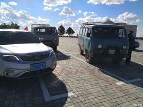 （一）生肖因素的系统分析