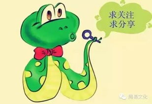 卯兔属木：水木相生之吉局与潜在挑战